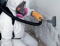 Best Basement Mold Removal  in Ben Avon, PA